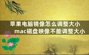 苹果电脑镜像怎么调整大小 mac磁盘映像不能调整大小